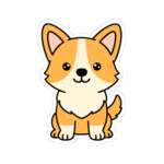 11788922322173558039 1200