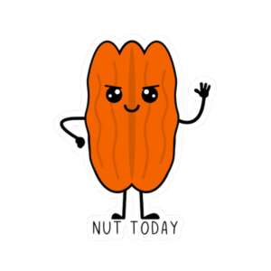 Nut Today Pecan Sticker