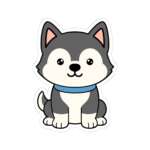 10707906793992120104 1200