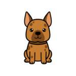 10841037926914249107 1200