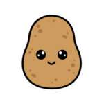 11289273744101911648 1200