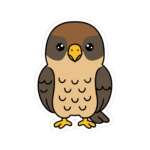 11974639790246500507 1200