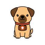 11996709208056716872 1200