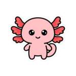 12332876934711421223 1200