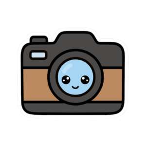 Camera Sticker