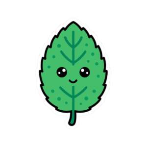 Mint Leaf Sticker