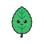 12791388069020356289 1200