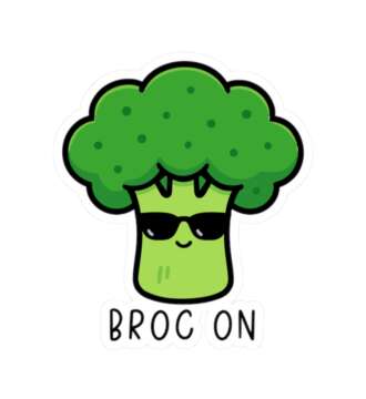 13307926470495778456 1200