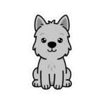 14206324256233569767 1200