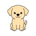 14686644289205369233 1200