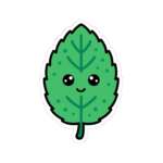 15010900028781954313 1200