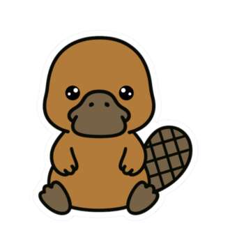 15111280351563318372 1200