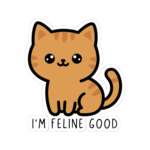 15771994961449476712 1200