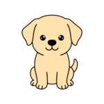 15997617884107179453 1200