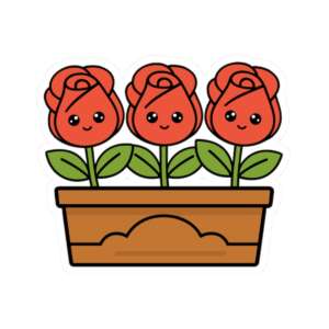 Rose Flower Box Sticker