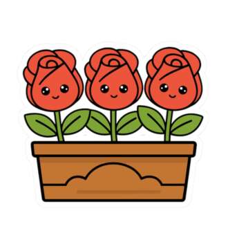 Rose Flower Box Sticker