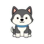 16126354900959502109 1200