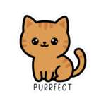 16130857370481791149 1200