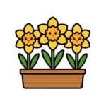 16173676915371116170 1200