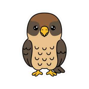 Hawk Sticker