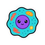 4299091078564199513 1200