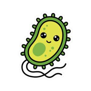 Bacteria Sticker