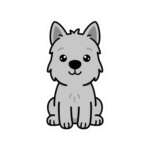 5662969265093446979 1200