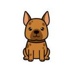 5823543149835545675 1200