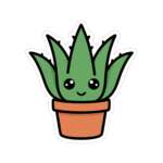 7004785556068295435 1200