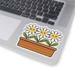 7004985386331320916 1200