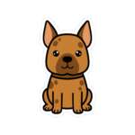 7108736888274614772 1200