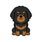 7261197054962128758 1200