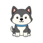 8179644927766508120 1200