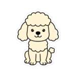 8323770139746413772 1200