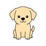 8447188675851482366 1200