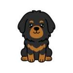 9916293672174732400 1200