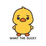 10190894219501669901 1200