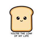 11584103222764468223 1200