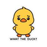 12939463877944529174 1200