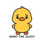 13679459009624070126 1200