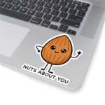 13770642025704005450 1200