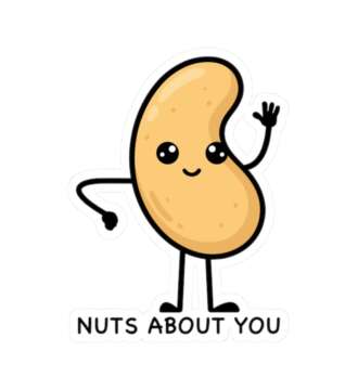 15370096941070554237 1200