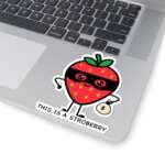 16824322690709235569 1200