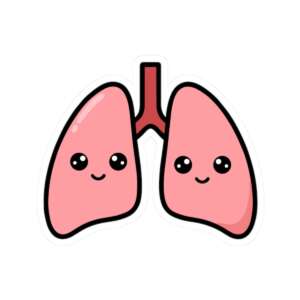 Lungs Sticker