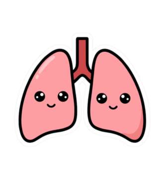 16872021305619592759 1200