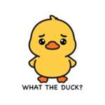 17579770164754555437 1200