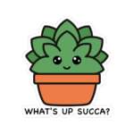 17614139656748100440 1200