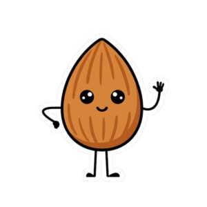 Almond Sticker
