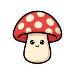 5596063613365483728 1200