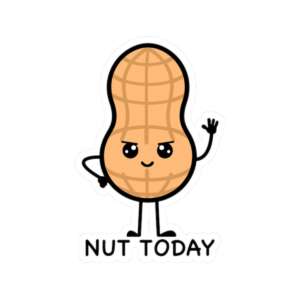 Nut Today Peanut Sticker